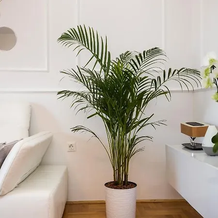 Parentium Apartment Porec